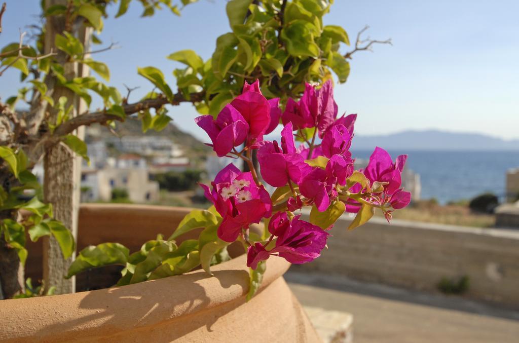 Pantonia Apartments Agia Pelagia  Habitación foto